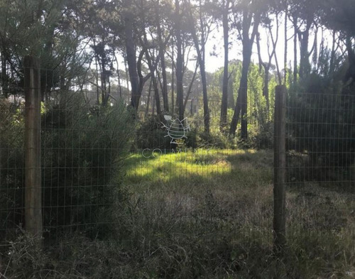 Imagen 3 de 5 de Terreno En Rincon Del Indio A Pocas Cuadra De La Playa Brava - Punta Del Este Rincón Del Indio