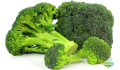 500 Sementes Brócolis De Cabeça Romanesco.