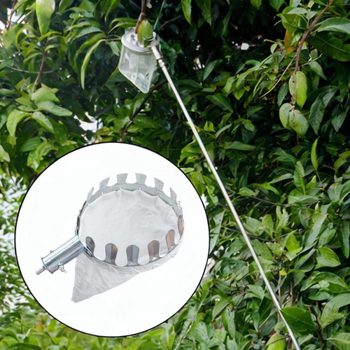 Cesta De Recolección De Frutas Para Frutas Práctica