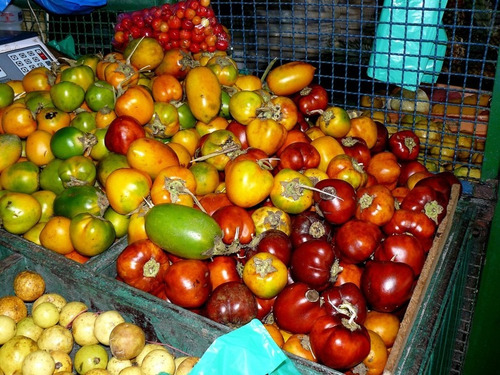 Imagem 4 de 4 de 50 Sementes De Cubiú Mana Cocona Solanum Sessiliflorun Fruta