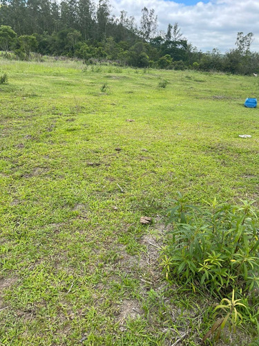 Imagem 10 de 14 de 08 - Terrenos 3 Km Da Dom Pedro- Bairro Jamic