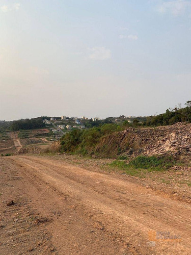 Imagem 7 de 11 de Terreno À Venda, 305 M² Por R$ 110.000,00 - Nossa Senhora Das Graças - Caxias Do Sul/rs - Te0242