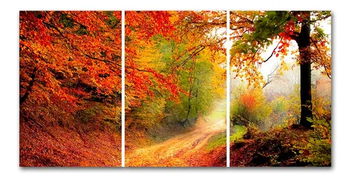 Cuadro Paisaje Hojas Naranja 60x120 Cm Entero O Triptico | Cuotas sin interés
