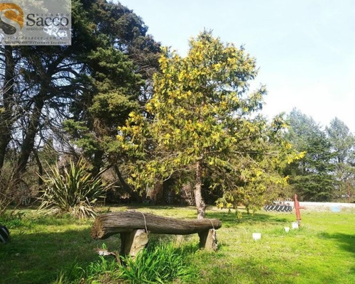 Casa Quinta Buena Forestación En Venta En #trenquelauquen