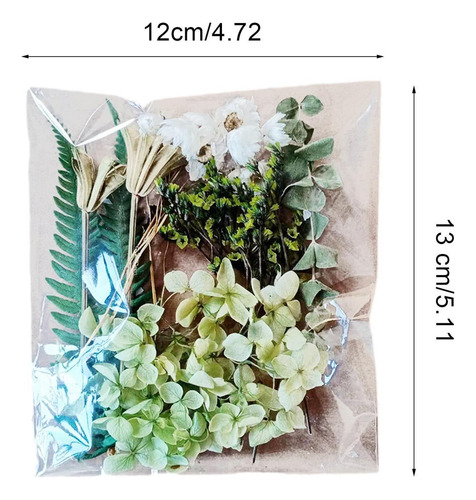 Z Flores Secas Flores Secas Para Florero Kit De Bricolaje A