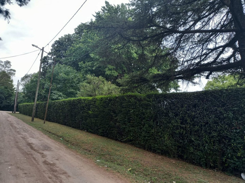 Imagen 2 de 8 de Terreno En Venta En José C Paz