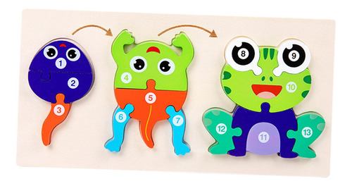Ciclo De Vida De Madera De Animla Puzzle Brain Rana