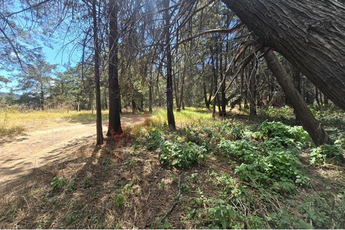 Terreno En Venta, Ideal Para Desarrolladores