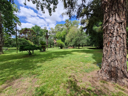 Lote En Venta Club De Campo San Antonio-financiado-preventa