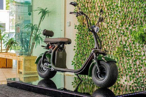 Imagem 14 de 15 de Scooter Eletrica Gloov 1500