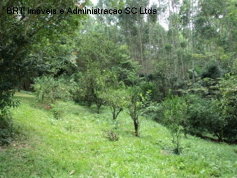 Imagem 26 de 30 de Chacara - Ch00028 - 1397744