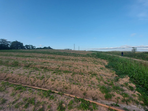 Imagem 2 de 6 de Terreno Com Áre Verde