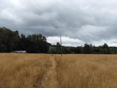 Espectacular Campo De 200 Hectareas En Loncoche