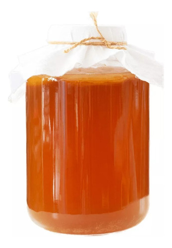 Scoby De Kombucha+te Iniciador+frasco - L a $38900