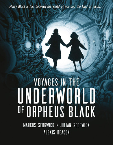 Libro:  Voyages In The Underworld Of Orpheus Black