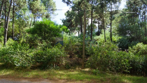 Imagen 1 de 3 de Terreno En Venta Portezuelo -ref:2261