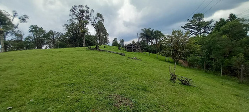 Imagem 10 de 15 de Chácara Para Venda Em São José Dos Pinhais, Área Rural De São José Dos Pinhais - Cha6607_1-2422868