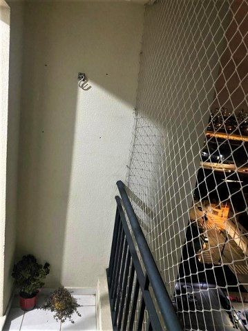 Imagem 4 de 19 de Apartamento Com 2 Dormitórios, 50 M² - Venda Por R$ 400.000,00 Ou Aluguel Por R$ 1.700,00/mês - Vila Prudente (zona Leste) - São Paulo/sp - Ap5883