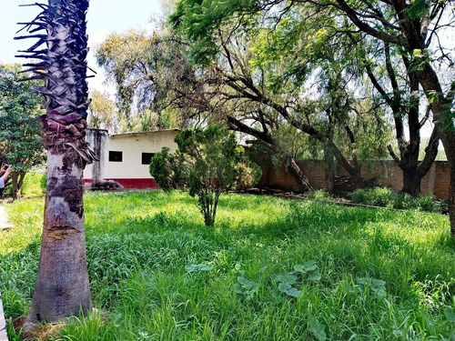 Terreno Bodega En Renta/venta San Jose De Los Mendoza Gto