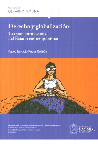 Libro Derecho Y Globalización De Pablo Ignacio Reyes