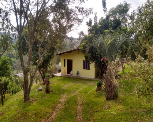 Chácara 5.000 M² - Lomba Grande - Novo Hamburgo - Rs - 1588 - 32420109