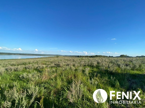 Imagen 2 de 7 de Tf427 Hectareas Con Vista Al Río Z/garupa