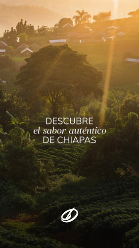 Café Tostado Dieglas Altura Chiapas - 10 Kg