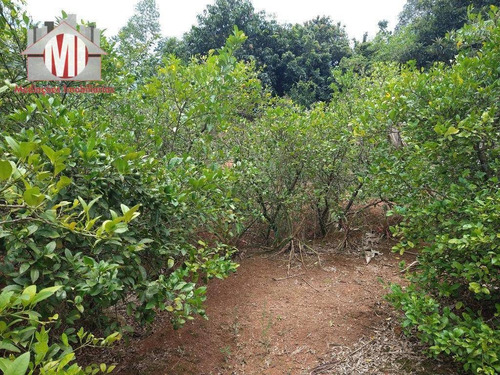 Linda Chácara Com 1 Dormitório, Córrego, Pomar, Campinho, Trio Mineiro, À Venda, 10000 M² Por R$ 350.000 - Tuiuti - Tuiuti/sp - Ch0834
