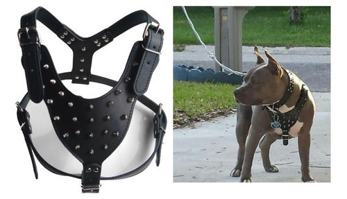 Peitoral Couro Com Spikes Para Pitbull E Outros Caes Cor Preto Spike Tamanho da coleira unico