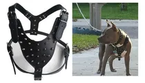 Comprar Peitoral Couro Com Spikes Para Pitbull E Outros Caes Cor Preto Spike Tamanho da coleira unico