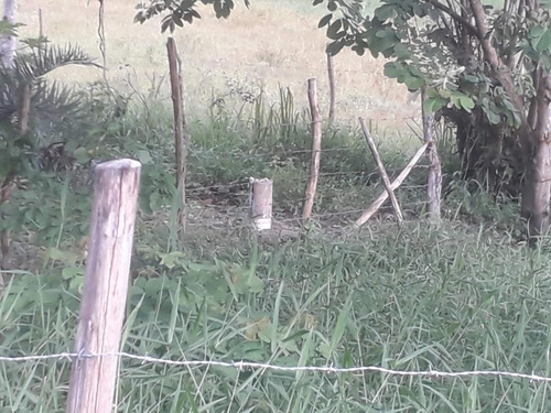 Imagem 13 de 14 de Sítio / Chácara Para Venda Em Flexeiras, Zona Rural - In - 0014_1-1691481