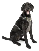 Comprar Arnés De Seguridad Para Perro, Arnés De Seguridad Para Perro