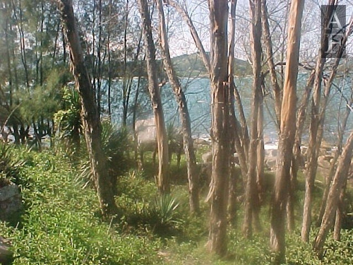 Terreno Para Venda Em Praia Do Ouvidor Garopaba-sc - Tv105