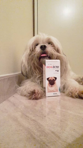 Bravecto De 4.5 - 10 Kilos