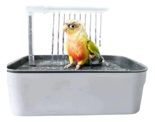 Gran Ducha Automática Para Pájaros Con Controlador De Flujo
