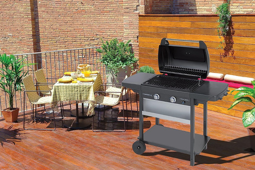 Barbacoa A Gas 2 Series Con Ruedas
