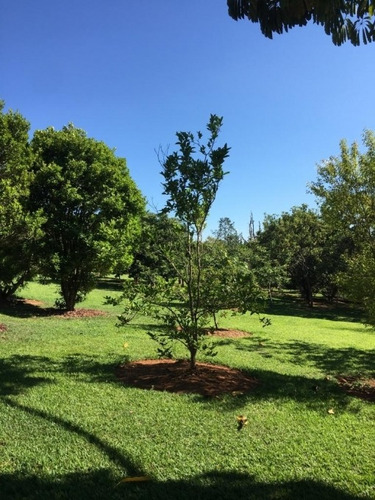 Imagem 3 de 21 de Chácara Venda Itatiba - Sp - Jarinu - 98cr