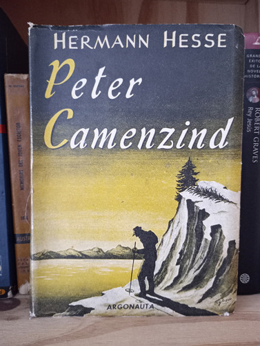 Peter Camenzind - Hermann Hesse