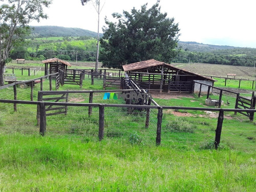 Imagem 8 de 15 de Fazenda - Zona Rural - Ref: 3829 - V-mta3829