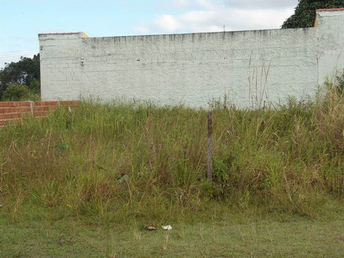 Imagem 6 de 7 de Terreno - Venda - Gaivotas - Itanhaem - Ita2452
