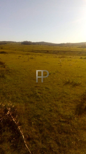 Imagen 3 de 6 de Campo En Venta Pueblo Edén 5 Hectáreas