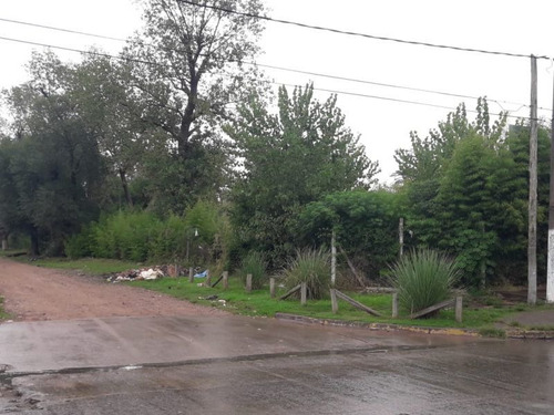 Terreno En Venta En San Miguel
