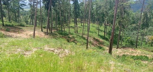 Imagen 2 de 10 de En Venta Finca Agricola-ganadera En Estado Carabobo. Ma