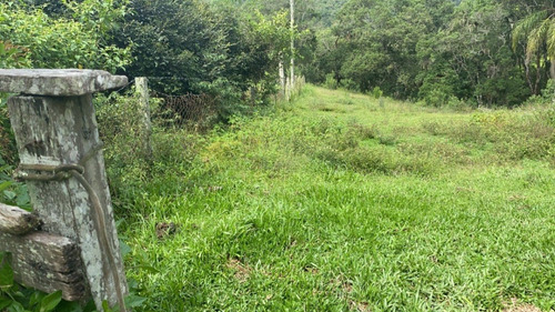 Imagem 24 de 27 de L38- Lotes Com Segurança E Otimo Valor