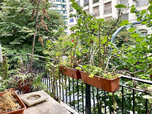 Imagen 9 de 30 de Departamento - Recoleta