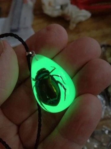 Collar Insecto Brilla En La Oscuridad Fluorescente Hombre