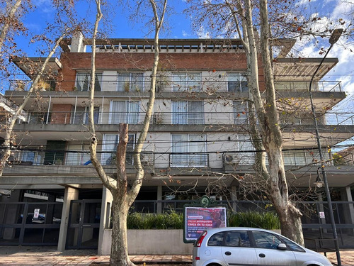 Imagen 18 de 30 de Departamento - Tigre