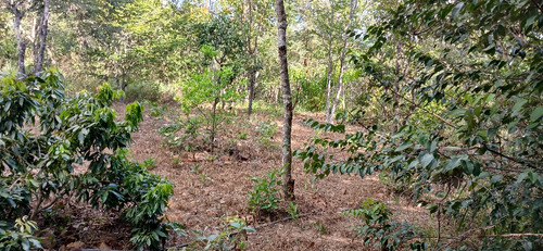 Lote Na Corumba4 5000 Mts Com Casa 3 Quartos 2 Banheiros Sal