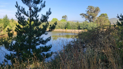 Parcelas A 8 Minutos Del Lago Vichuquén, Financiamiento