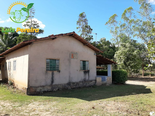 Imagem 11 de 12 de Fazenda À Venda Em Nova Olinda - To - 968 Hec (pecuária) - 1876
